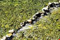 Tange Chogan Reliefs