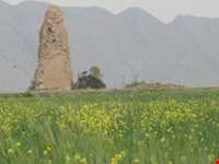 شهر باستانی گور