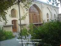 Forty tonnes of garden