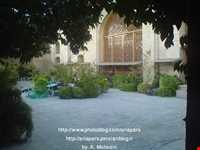 Forty tonnes of garden