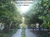 Forty tonnes of garden