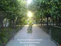 Forty tonnes of garden