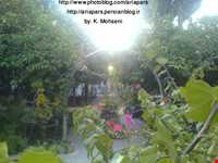 Forty tonnes of garden