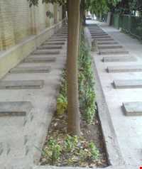 Forty tonnes of garden