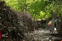 روستای بوژان