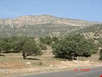 Bovan recreational area