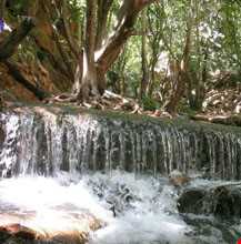 بهشت گمشده ( تنگ بستاک )