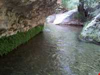 بهشت گمشده ( تنگ بستاک )