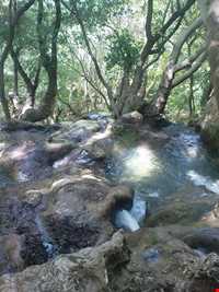 بهشت گمشده ( تنگ بستاک )