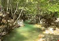 بهشت گمشده ( تنگ بستاک )