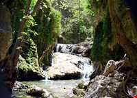 بهشت گمشده ( تنگ بستاک )