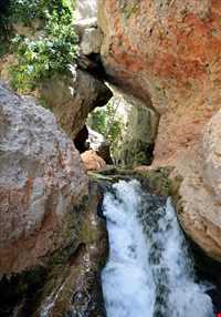 بهشت گمشده ( تنگ بستاک )