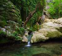 بهشت گمشده ( تنگ بستاک )