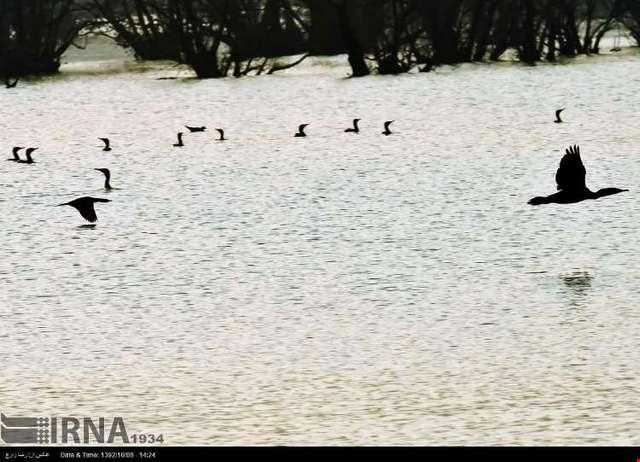 تالاب استیل