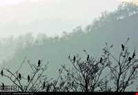 تالاب استیل