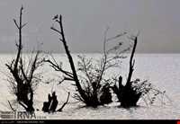 تالاب استیل