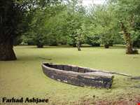 تالاب استیل