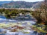 تالاب استیل