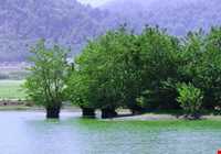 تالاب استیل