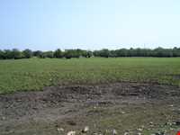 تالاب استیل