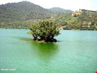 تالاب استیل