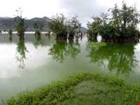 تالاب استیل