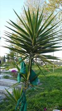 امام زاده سید محمد زرین نوا