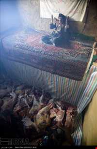 The traditional celebration of the old  Shaliar