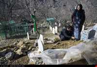 The traditional celebration of the old  Shaliar