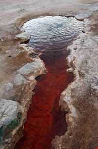 چشمه معدنی تاپ تاپان