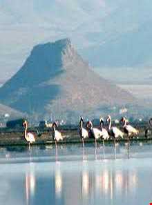 تالاب میقان