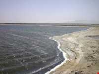 تالاب میقان