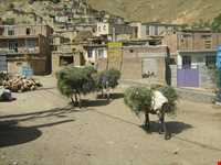 روستای گل آخور