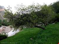 روستای گل آخور