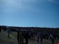 بوستان باراجین ( فدک )