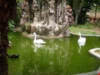 Bagh-e shah mansion and Garden ( King Garden )