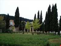 Bagh-e shah mansion and Garden ( King Garden )