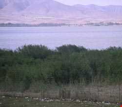 تالاب قوریگل