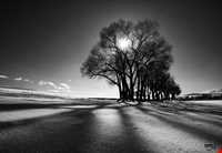 تالاب قوریگل