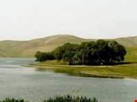 تالاب قوریگل