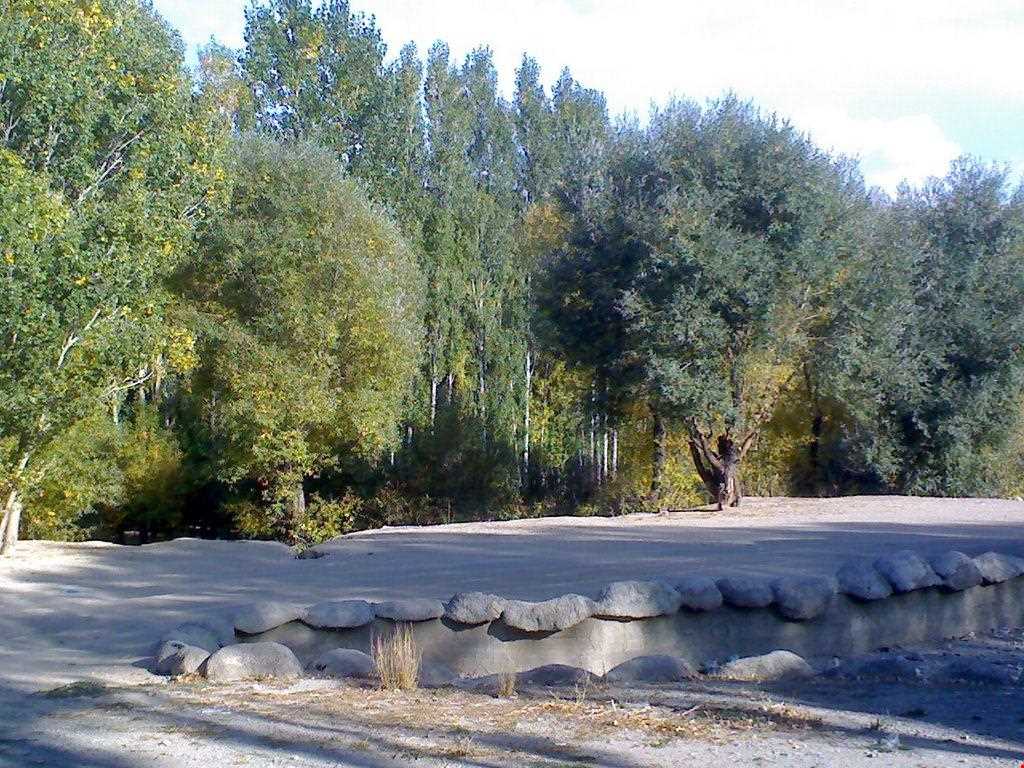 دره سعیدآباد