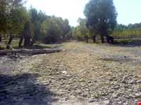 دره سعیدآباد