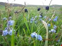 جاده توریستی هریس-مشکین شهر