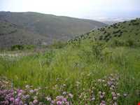 جاده توریستی هریس-مشکین شهر