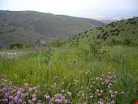 جاده توریستی هریس-مشکین شهر