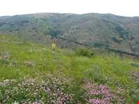 جاده توریستی هریس-مشکین شهر