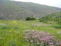 جاده توریستی هریس-مشکین شهر