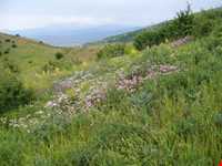 جاده توریستی هریس-مشکین شهر