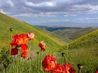 جاده توریستی هریس-مشکین شهر