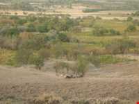 چشمه پیرسقا